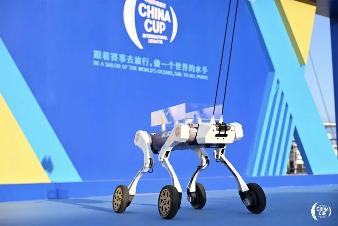上山下海、防水能漂还能干重活！中国杯赛场有这些硬核科技